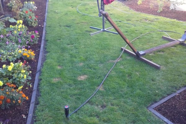 ensors_irrigation_and_water_company_canterbury_feature_ensorshq_2