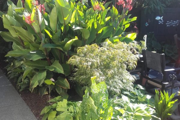 ensors_irrigation_and_water_company_canterbury_feature_ensorshq_8